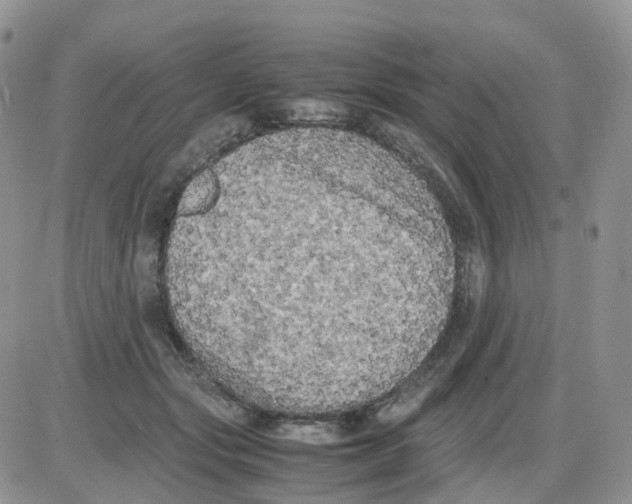 X0000086030557200704201949