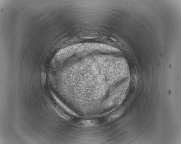 X0000086030558200704201949