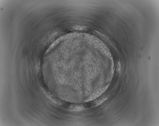 X0000086030559200704201949