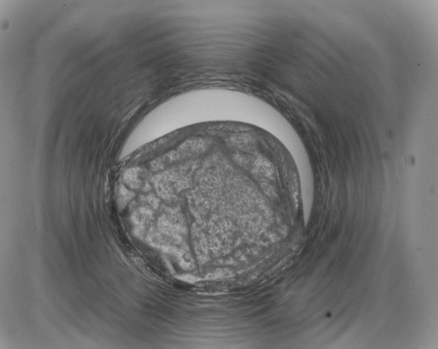 X0000086030560200704201949