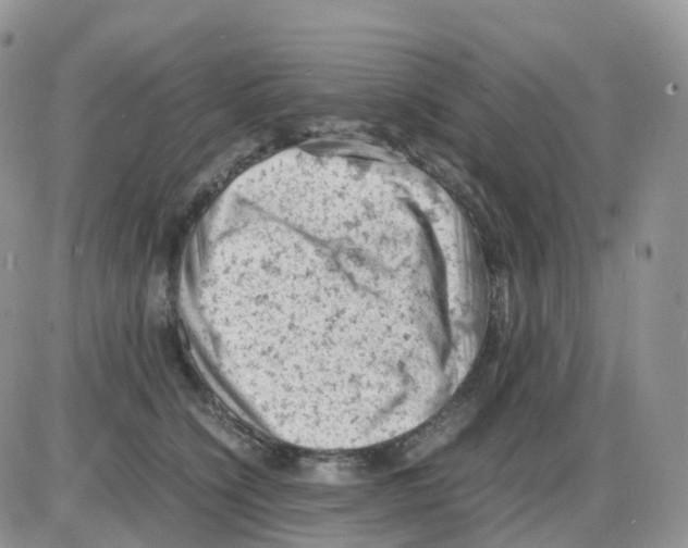 X0000086030564200704201949