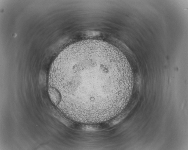 X0000086030565200704201949