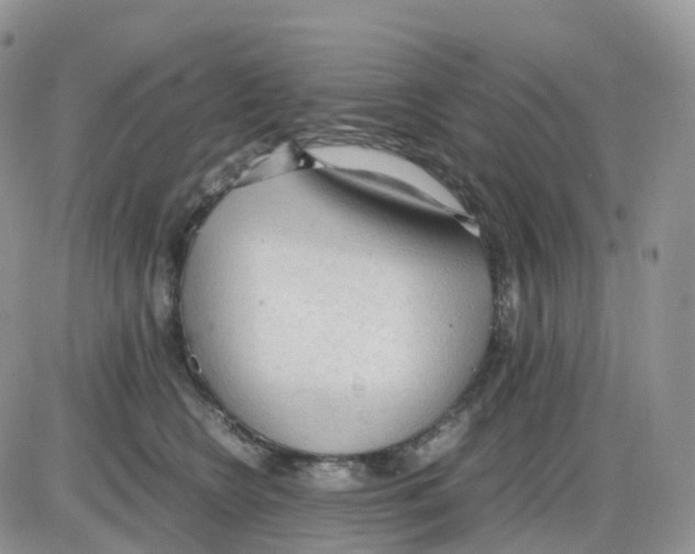 X0000086030566200704201949