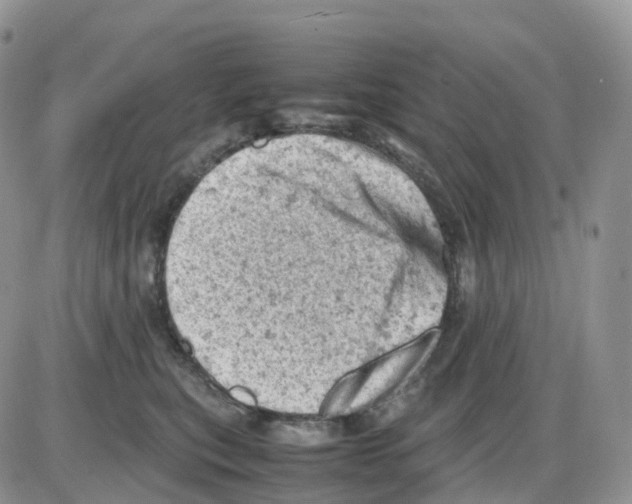 X0000086030567200704201949