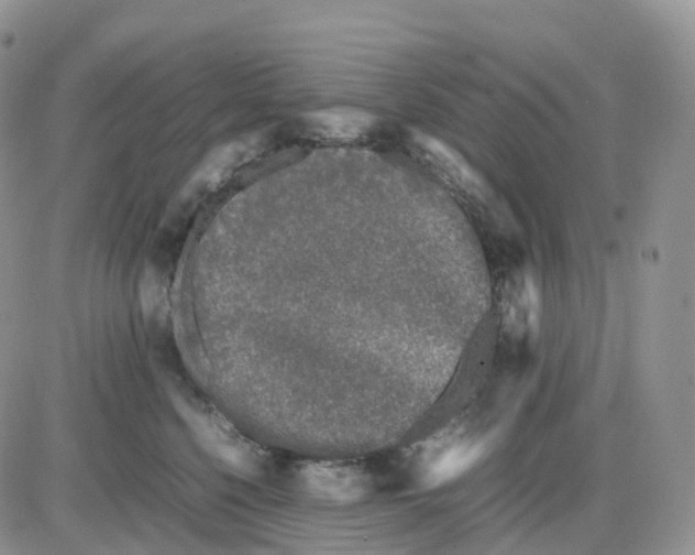 X0000086030568200704201949