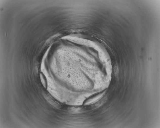 X0000086030570200704201949