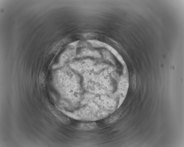 X0000086030571200704201949