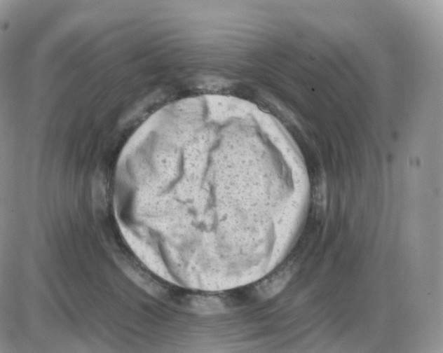 X0000086030572200704201949