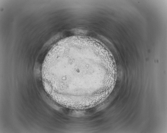 X0000086030573200704201949