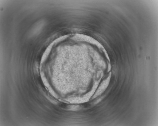 X0000086030575200704201949