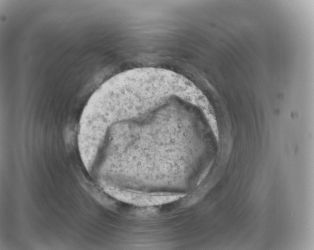 X0000086030576200704201949