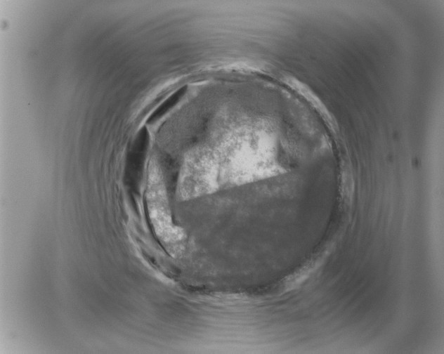 X0000086030577200704201948