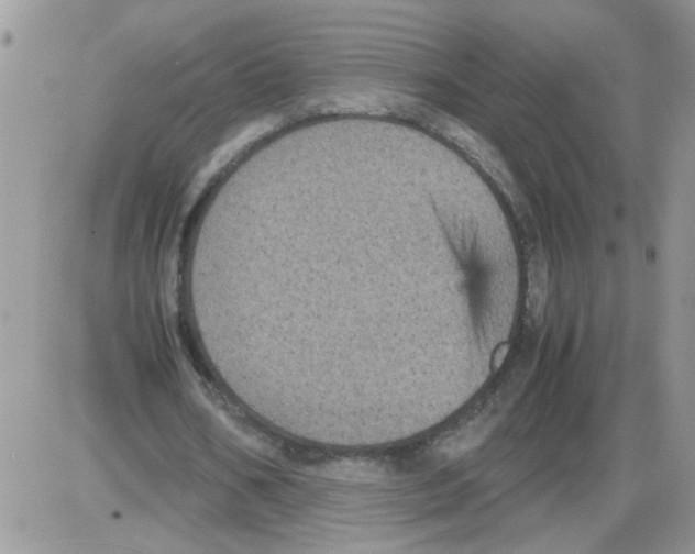 X0000086030578200704201948