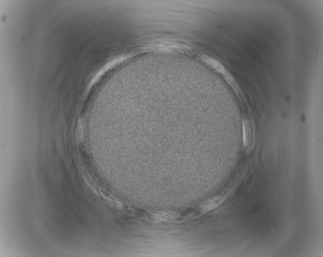 X0000086030579200704201948