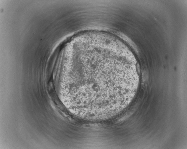 X0000086030580200704201948