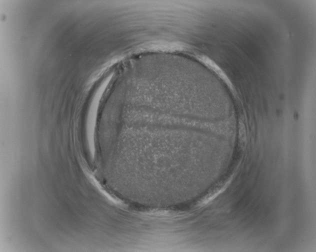 X0000086030581200704201948