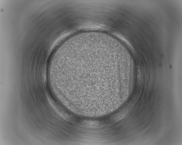 X0000086030582200704201948