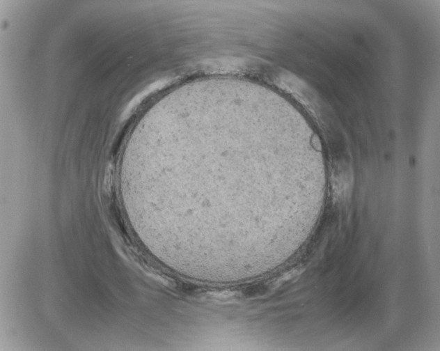 X0000086030583200704201948