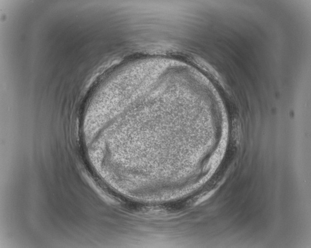 X0000086030589200704201948