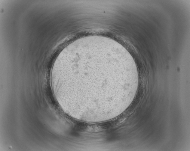 X0000086030591200704201948