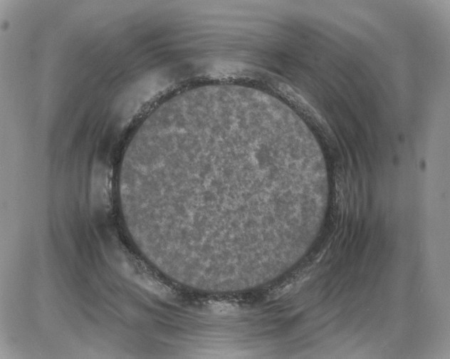 X0000086030592200704201948