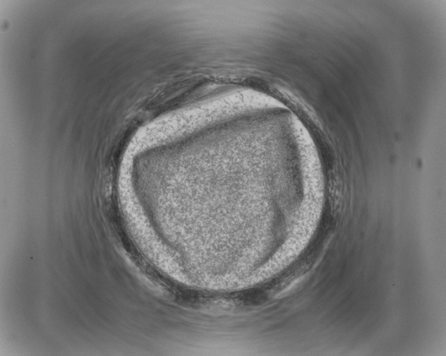 X0000086030593200704201948