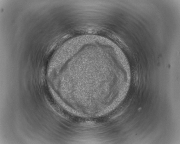 X0000086030594200704201948