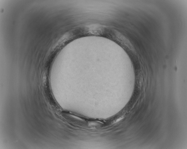 X0000086030595200704201948