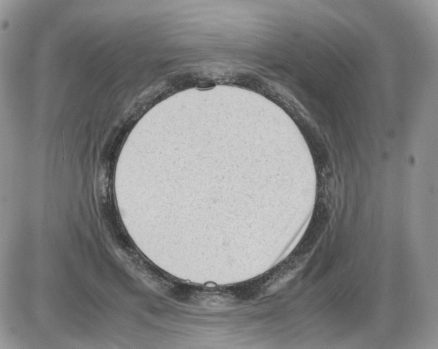 X0000086030597200704201948