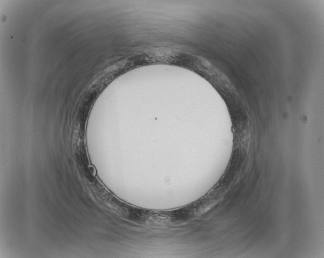 X0000086030599200704201948