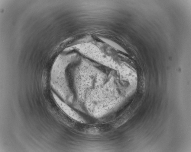 X0000086030600200704201948