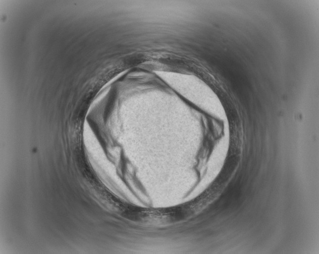 X0000086030601200704201948