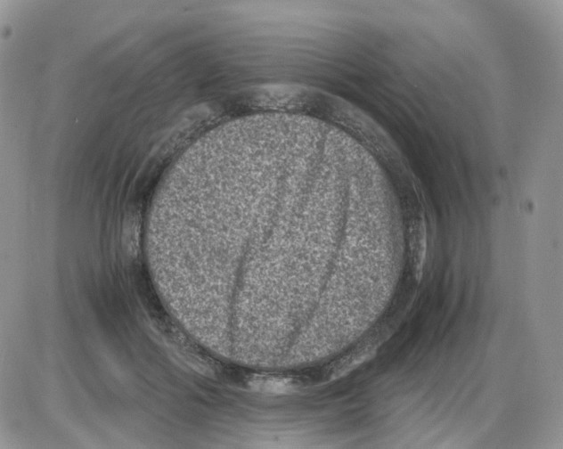 X0000086030602200704201948