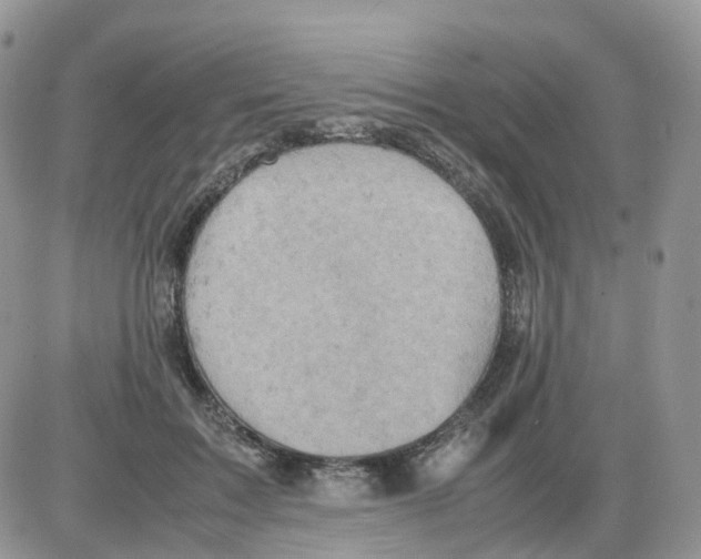 X0000086030603200704201948