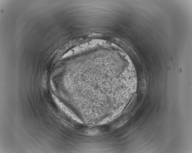 X0000086030604200704201948