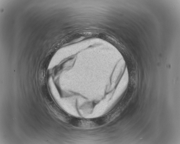 X0000086030605200704201948