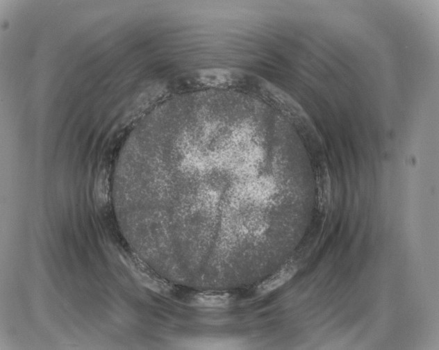 X0000086030606200704201948