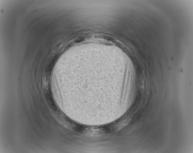 X0000086030607200704201948