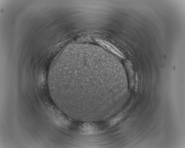 X0000086030608200704201948