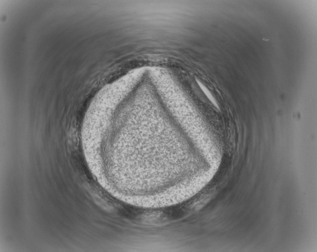 X0000086030609200704201948