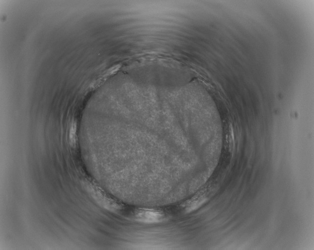 X0000086030610200704201948