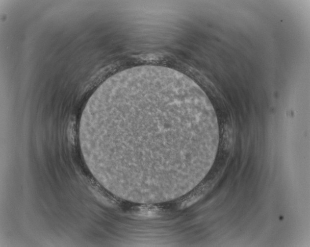 X0000086030612200704201948