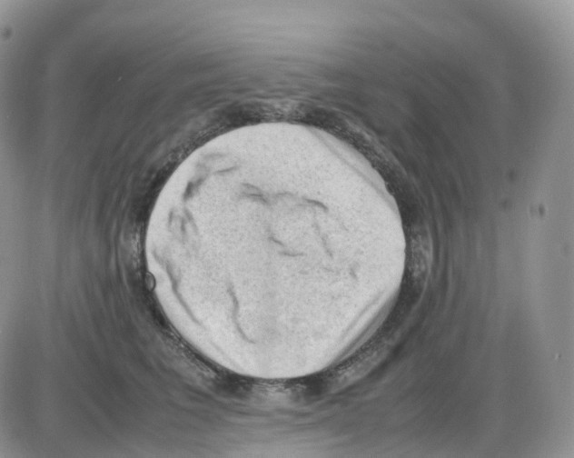 X0000086030613200704201948