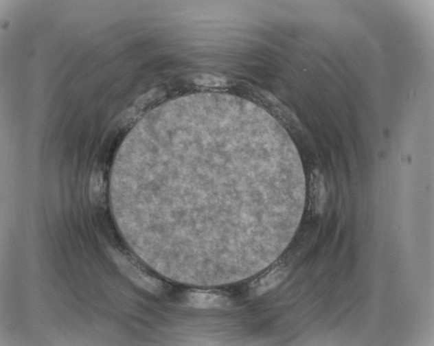 X0000086030614200704201948