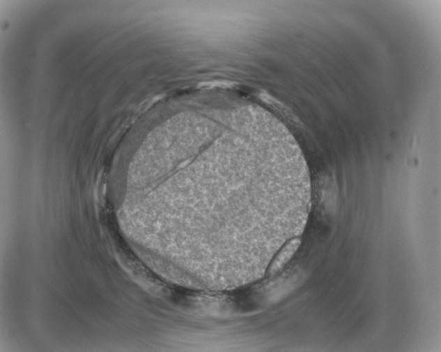 X0000086030615200704201948