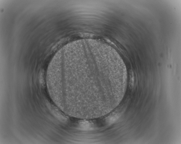 X0000086030616200704201948