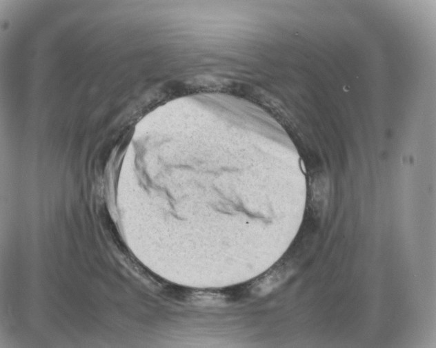 X0000086030617200704201948