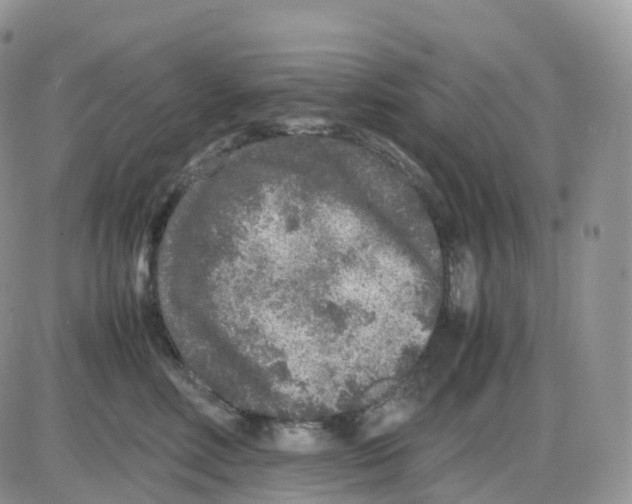 X0000086030618200704201948