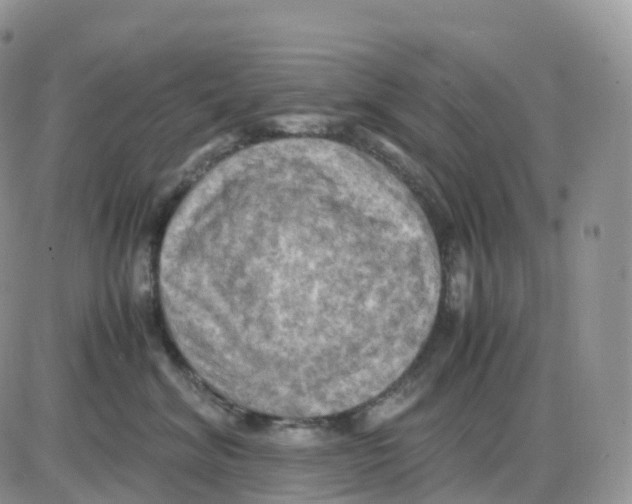 X0000086030620200704201948