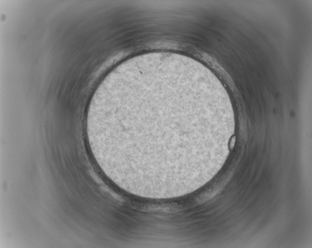 X0000086030625200704201947